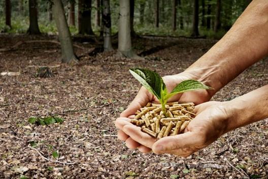 Combustibil ecologic din resurse regenerabile